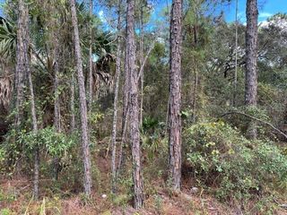 12TH AVENUE, Deland, FL 32724