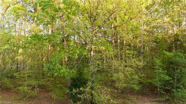 303 Healing Springs Drive, Denton, NC 27239