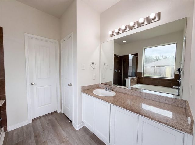 12534 Alexa Forest Dr, Porter, TX 77365