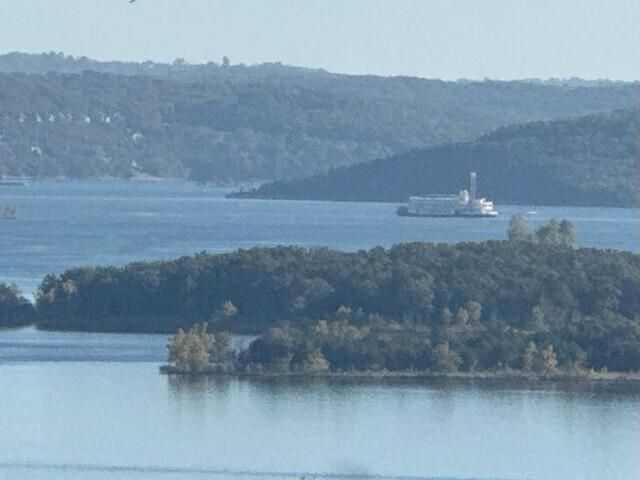 14 Treehouse Lane 20, Branson, MO 65616