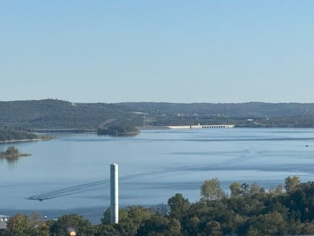 14 Treehouse Lane 20, Branson, MO 65616