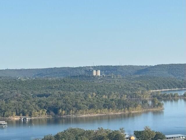 14 Treehouse Lane 20, Branson, MO 65616