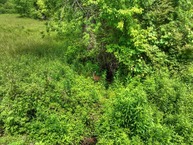 2.5 Acre E Appalachian Highway, Morganton, GA 30560