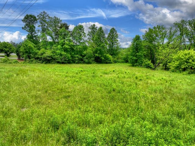 2.5 Acre E Appalachian Highway, Morganton, GA 30560