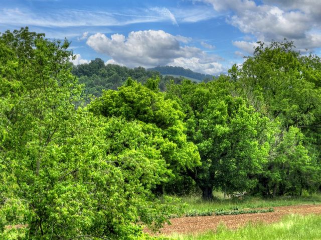 2.5 Acre E Appalachian Highway, Morganton, GA 30560