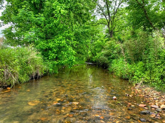 2.5 Acre E Appalachian Highway, Morganton, GA 30560