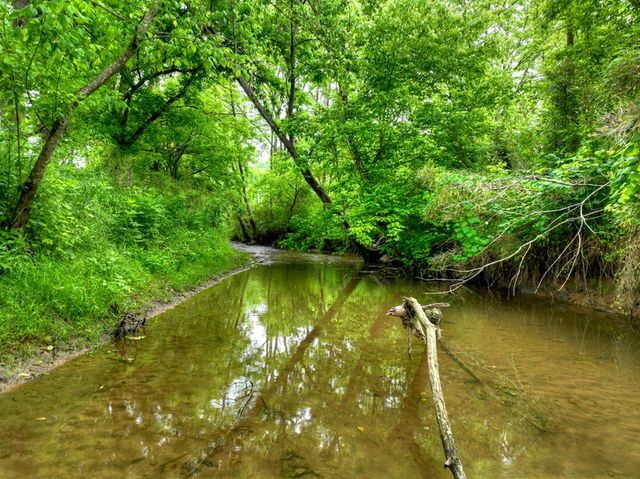 2.5 Acre E Appalachian Highway, Morganton, GA 30560
