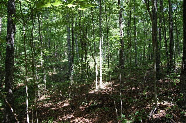 0 Elk Drive, Dunlap, TN 37327