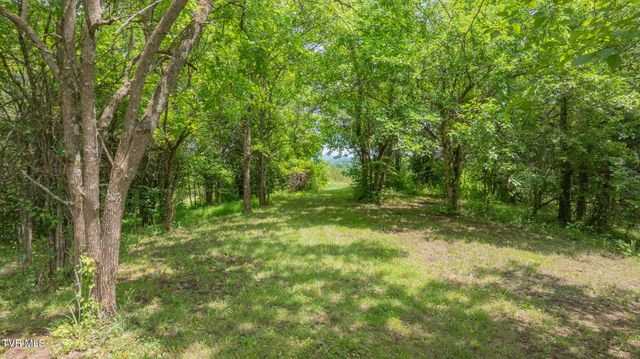 6500 Lonesome Pine Trail, Greeneville, TN 37745