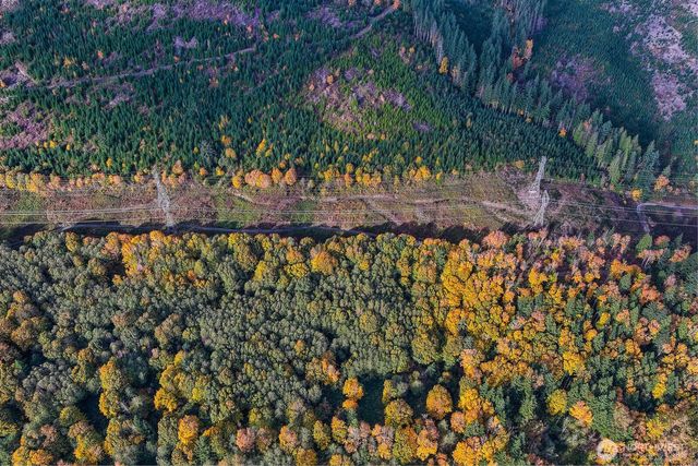 0 132nd Street SE, Sultan, WA 98294