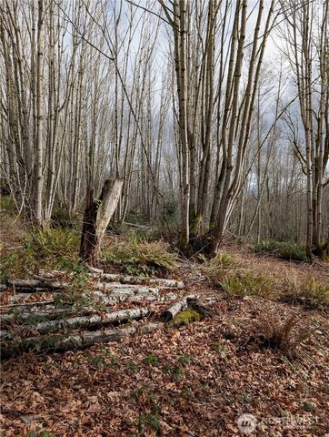 0 132nd Street SE, Sultan, WA 98294