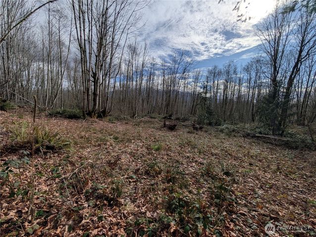 0 132nd Street SE, Sultan, WA 98294