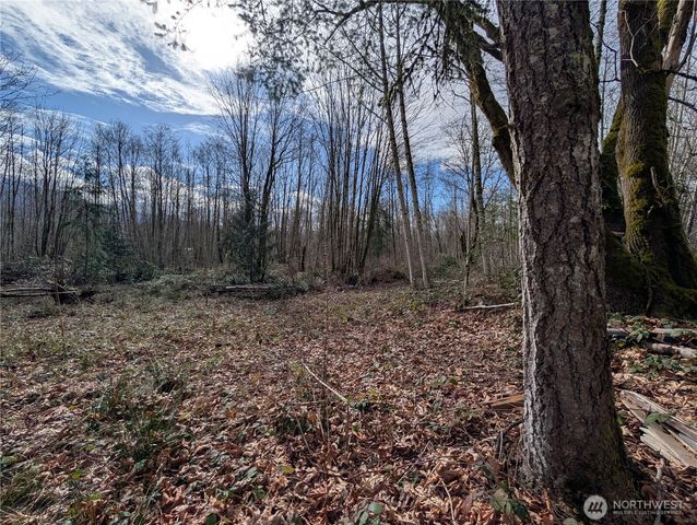 0 132nd Street SE, Sultan, WA 98294