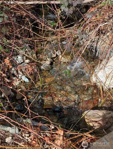 0 132nd Street SE, Sultan, WA 98294