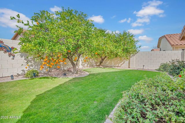 1620 W HACKBERRY Drive, Chandler, AZ 85248