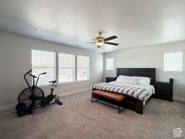 142 W 825 S, Willard, UT 84340