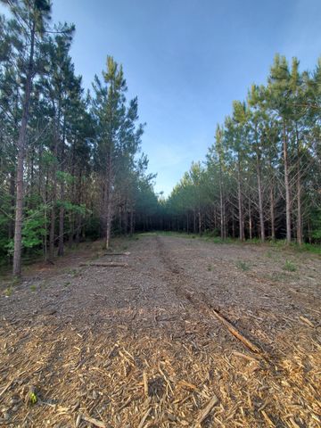 6004 Old Hohenwald Rd, Linden, TN 37096