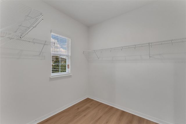 8320 BRYCE CANYON AVENUE, Windermere, FL 34786