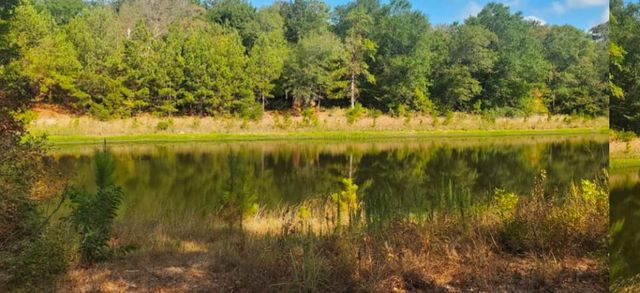 26770 Lake Shore Drive, Hempstead, TX 77445