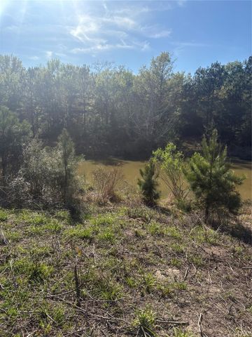 26770 Lake Shore Drive, Hempstead, TX 77445