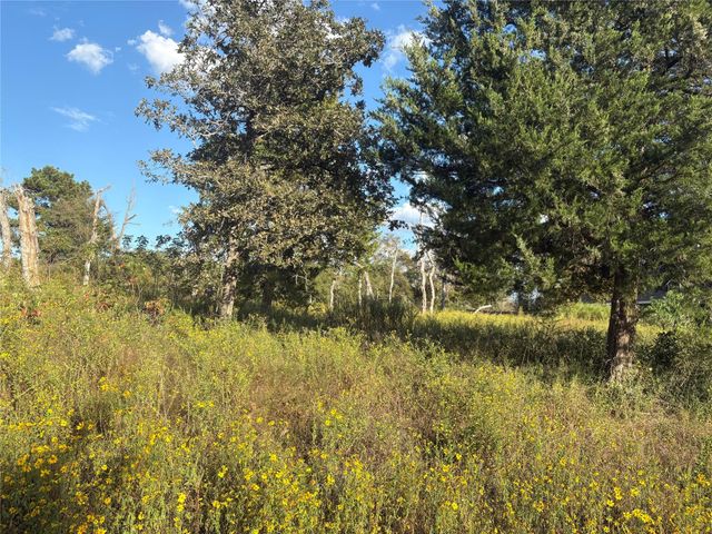 26770 Lake Shore Drive, Hempstead, TX 77445