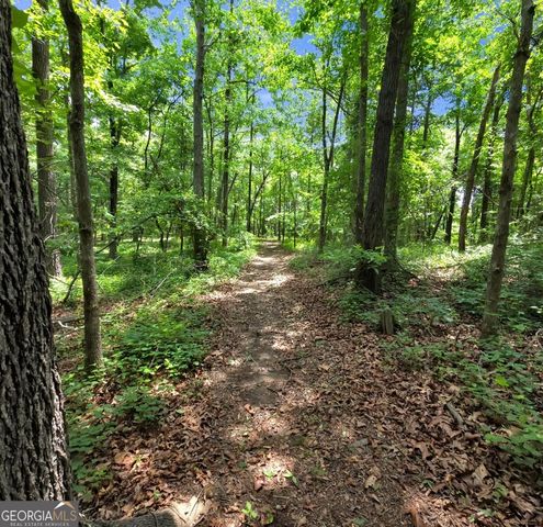 285 Wolf Den Road, Royston, GA 30662