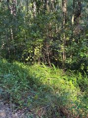 TBD SW 18TH PLACE, Ocala, FL 34481