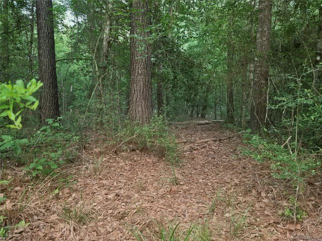 3377 Pine Lane, Saratoga, TX 77585