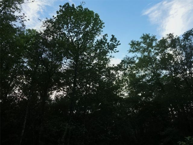 3377 Pine Lane, Saratoga, TX 77585