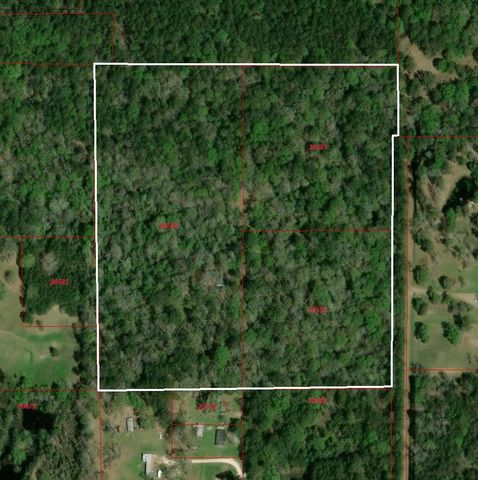 3377 Pine Lane, Saratoga, TX 77585
