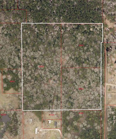 3377 Pine Lane, Saratoga, TX 77585