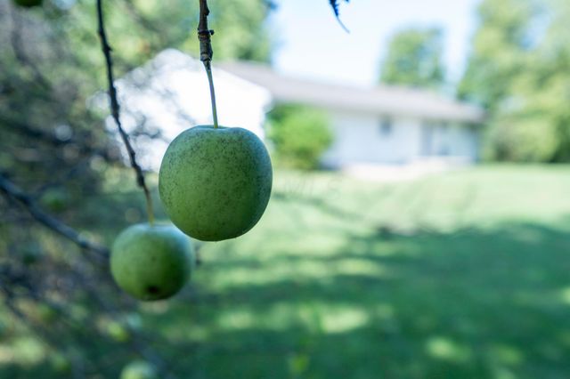 392 Hickory Lane, Washington Court House, OH 43160