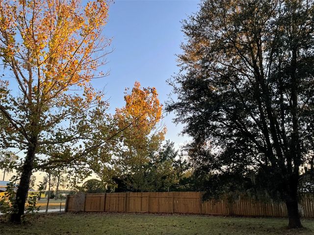 11651 SE 82ND STREET, Morriston, FL 32668