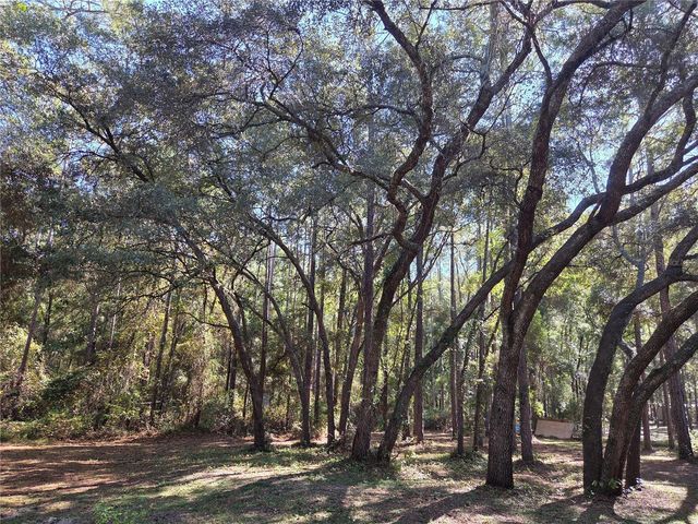 118 LEMON STREET, Melrose, FL 32666