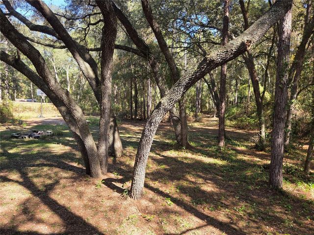 118 LEMON STREET, Melrose, FL 32666