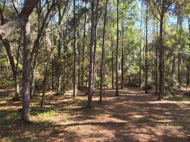 118 LEMON STREET, Melrose, FL 32666