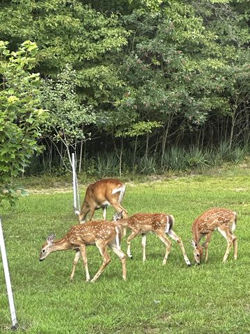 52960 County Road 380, Grand Junction, MI 49056