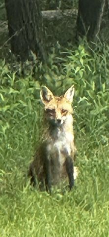 52960 County Road 380, Grand Junction, MI 49056