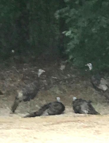 52960 County Road 380, Grand Junction, MI 49056