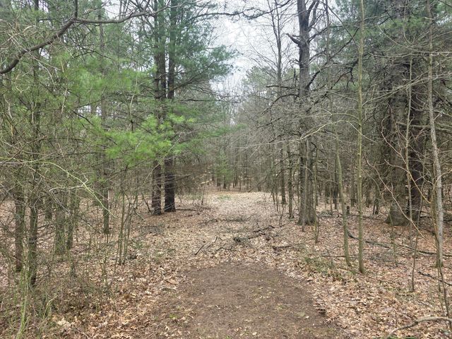 52960 County Road 380, Grand Junction, MI 49056