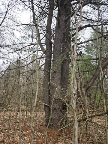 52960 County Road 380, Grand Junction, MI 49056