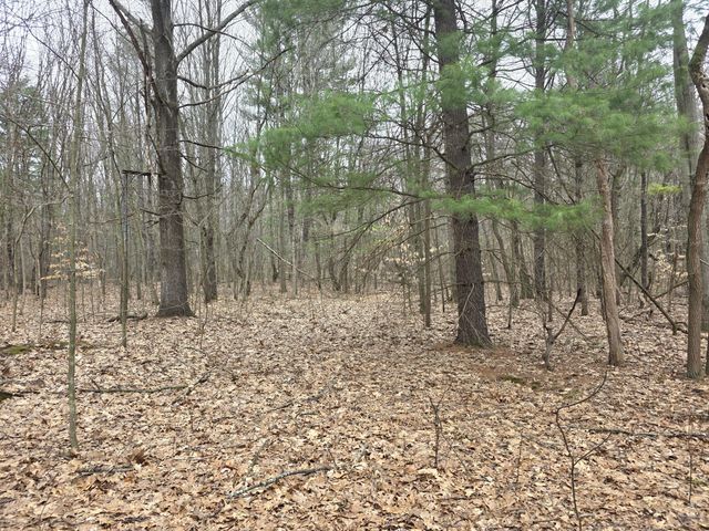 52960 County Road 380, Grand Junction, MI 49056