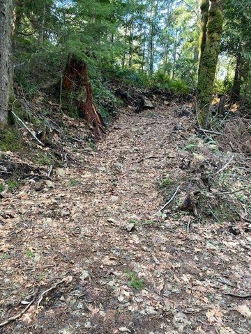 0 N Dow Ridge Road, Hoodsport, WA 98548