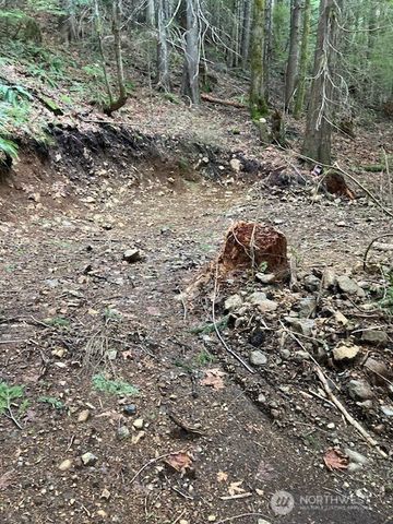 0 N Dow Ridge Road, Hoodsport, WA 98548