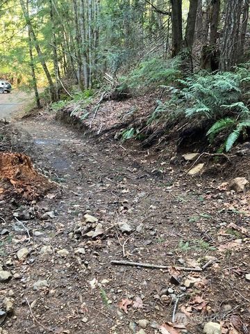 0 N Dow Ridge Road, Hoodsport, WA 98548