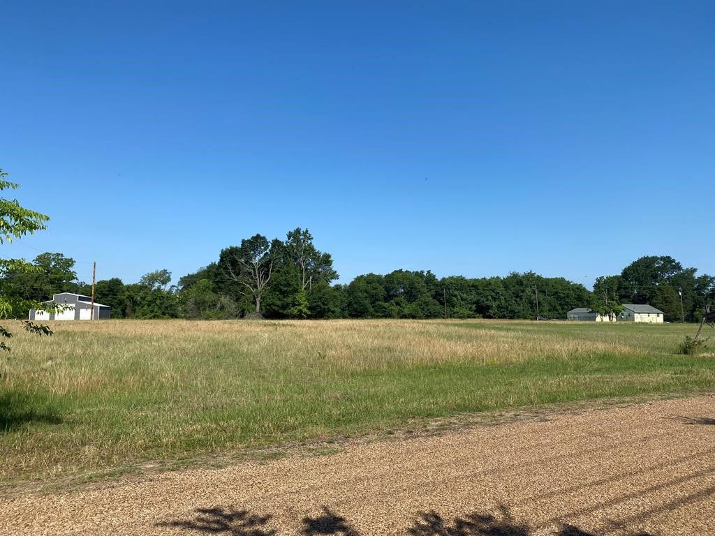 TBD Lot 140 Amelia Circle, Trinidad, TX 75163