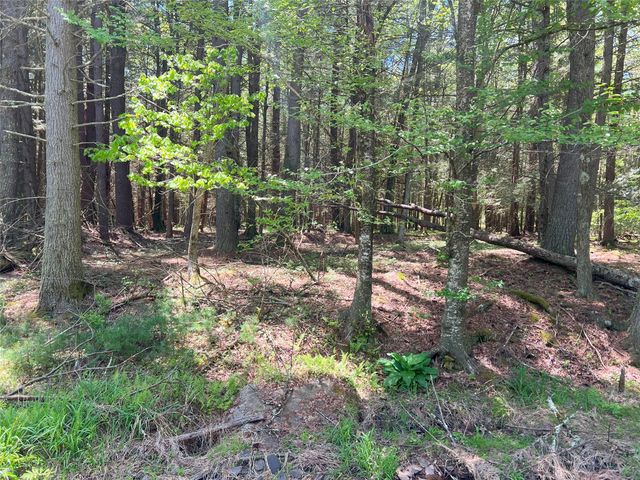 Lot 19 Brook Drive, Narrowsburg, NY 12764