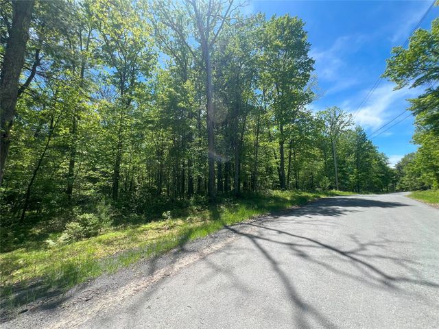 Lot 19 Brook Drive, Narrowsburg, NY 12764