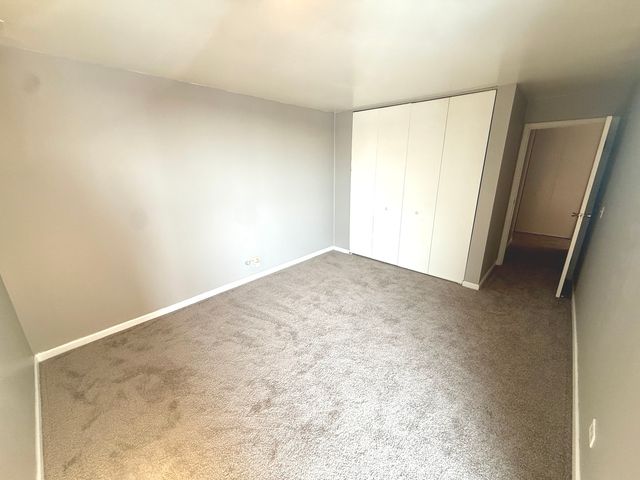6010 Oakwood Drive 5D, Lisle, IL 60532