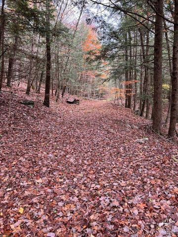 91 Laurie Lane, Earlton, NY 12413